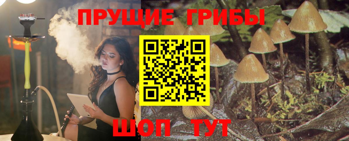Галлюциногенные грибы мицелий Кореновск